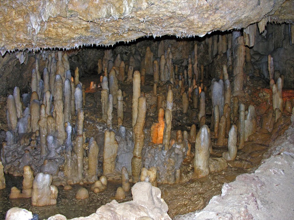 day6barbadosharrisonscave.jpg