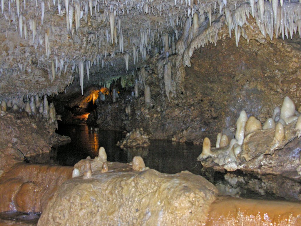 day6barbadosharrisonscave2.jpg