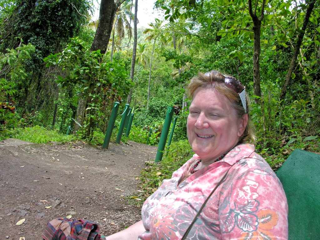 day7soufrierestluciapitonfallsjane.jpg